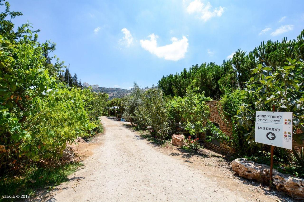 Tur Sinai Organic Farm Resort Jeruzalém Exteriér fotografie
