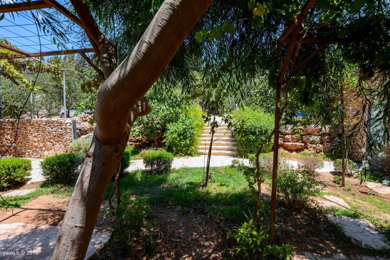 Tur Sinai Organic Farm Resort Jeruzalém Exteriér fotografie