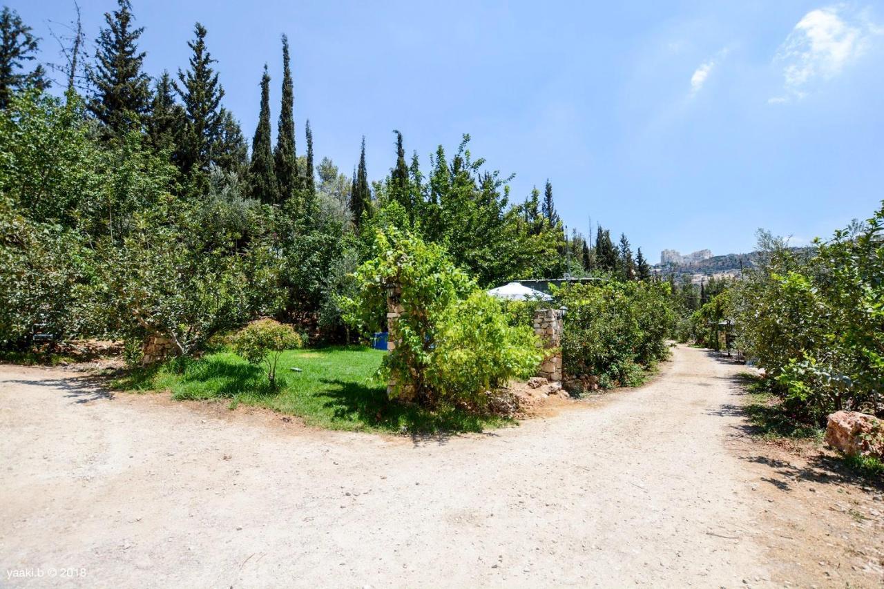 Tur Sinai Organic Farm Resort Jeruzalém Exteriér fotografie
