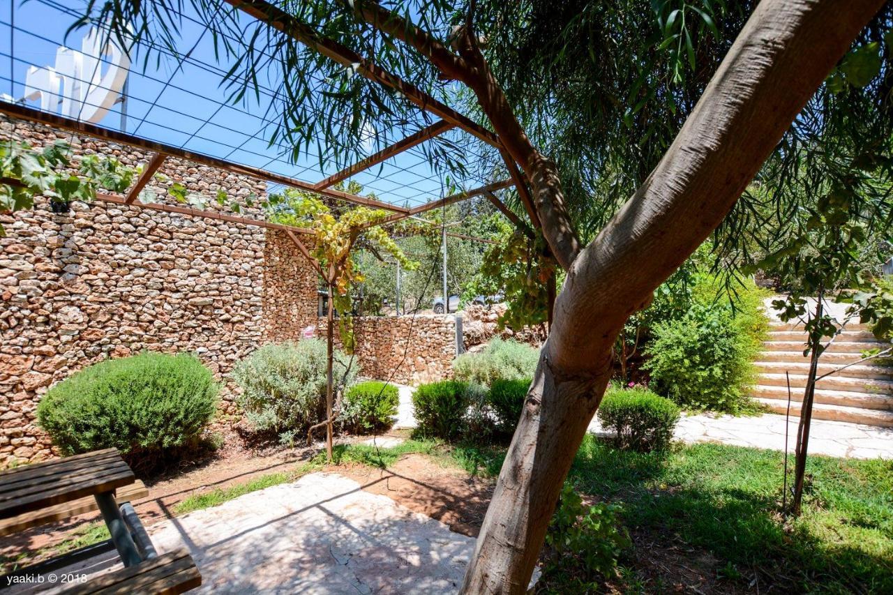 Tur Sinai Organic Farm Resort Jeruzalém Exteriér fotografie